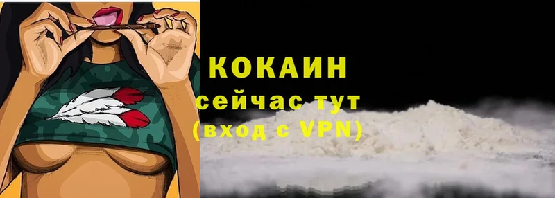 Купить наркотик аптеки Приволжск Псилоцибиновые грибы  Alpha-PVP  МАРИХУАНА  kraken ссылки  COCAIN  ГАШИШ 